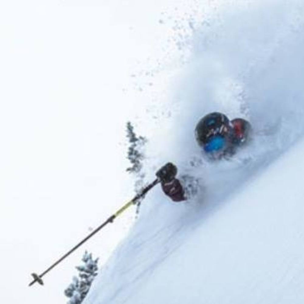 Meet your Posher, Brian